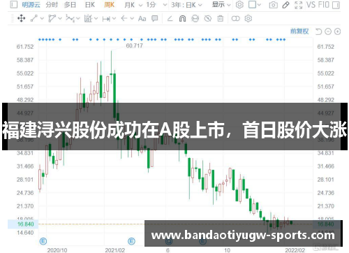 福建浔兴股份成功在A股上市，首日股价大涨